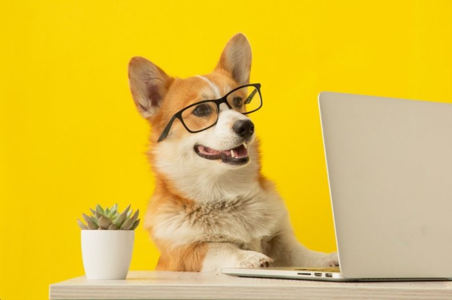 Итоги года и стратегия роста