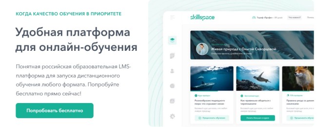 Обзор Skillspace: все возможности для запуска онлайн-курсов